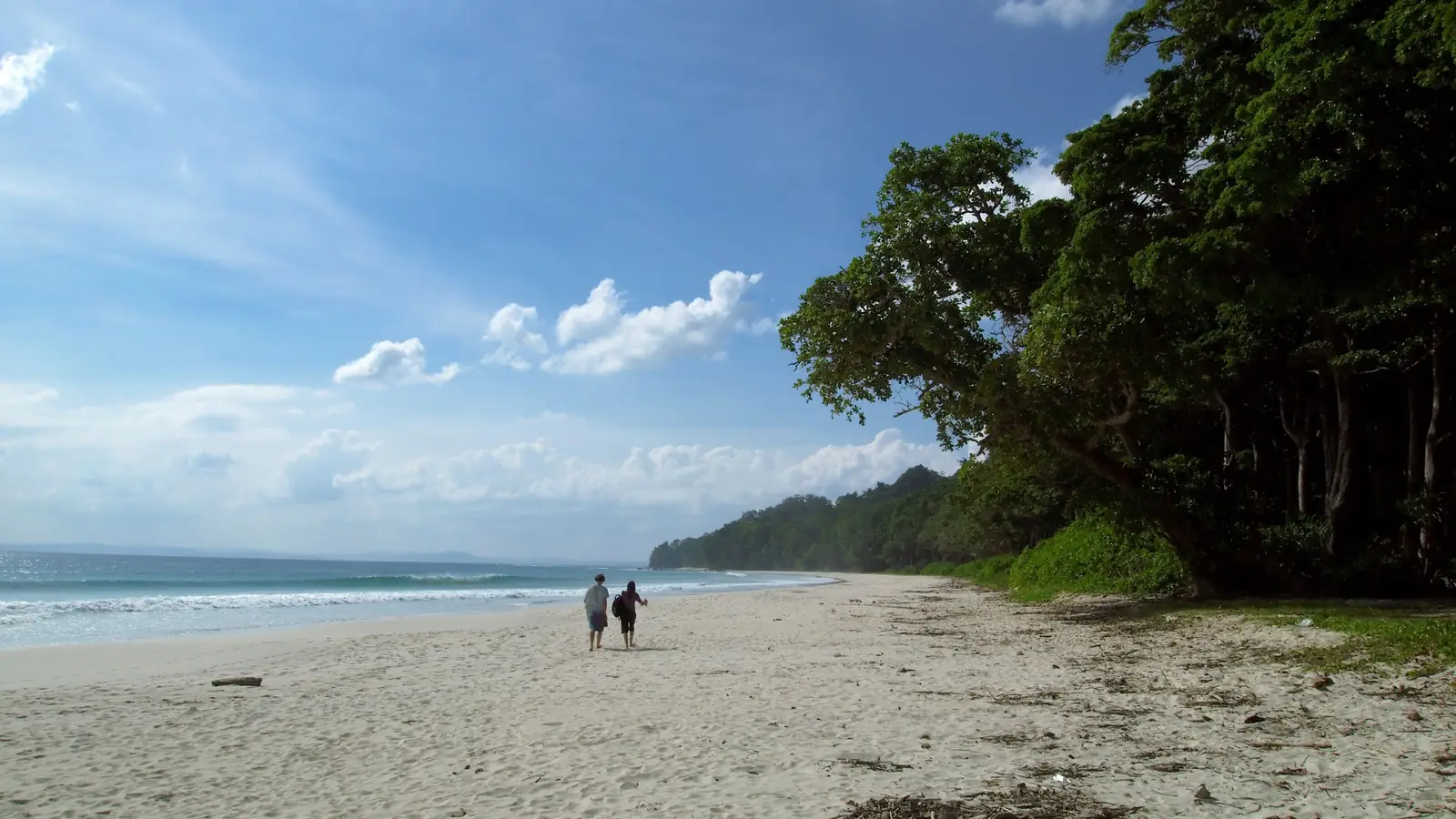 A white sand beach fringed with forest in the Andaman Islands