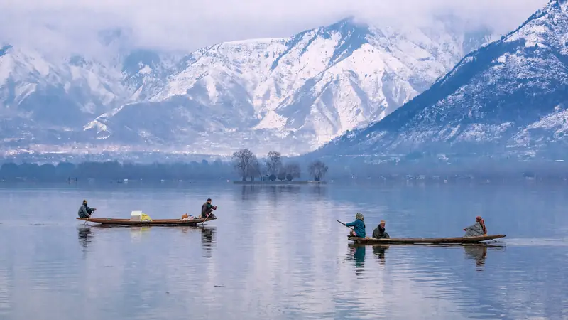 Shikaras on Dal lake in Srinagar with snow-covered mountains behind